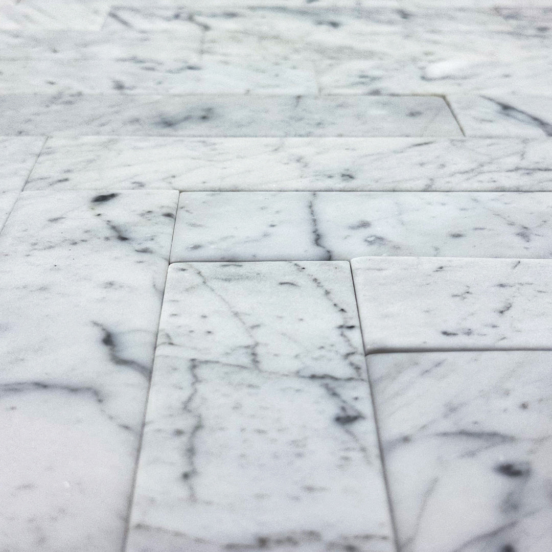 Belvedere Carrara (2